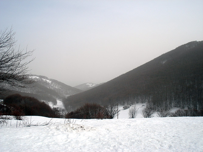 snowy landscape overlay
